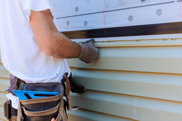 Best Aluminum Siding Installation  in Escanaba, MI